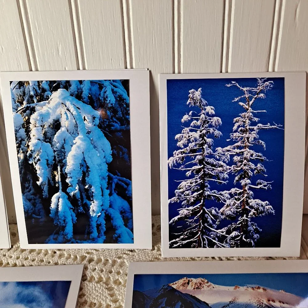 10 Original Photograph All Occasion Greeting Cards